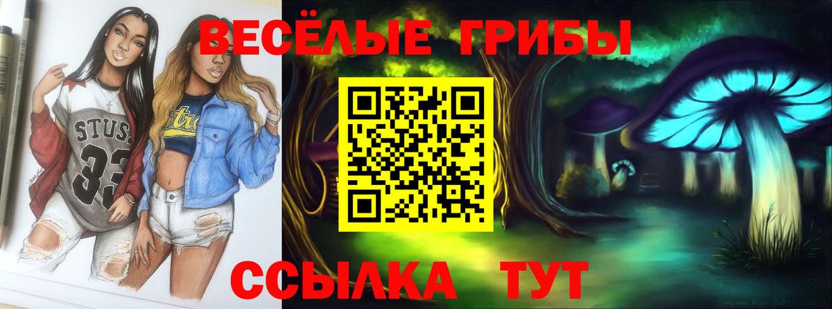 Галлюциногенные грибы прущие грибы Псков
