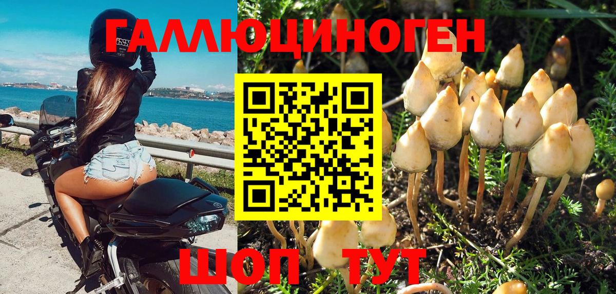 Галлюциногенные грибы Psilocybe  купить наркотик  Псков  Вход с VPN 